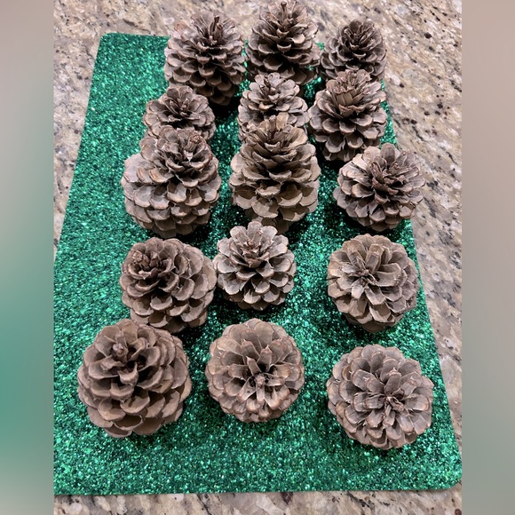 15 Bleached Pine Cones! - Picture 4 of 5